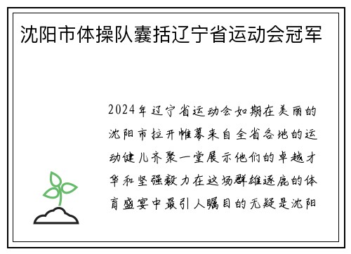 沈阳市体操队囊括辽宁省运动会冠军